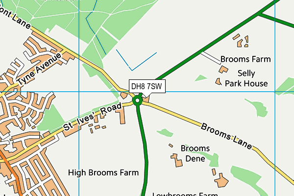 DH8 7SW map - OS VectorMap District (Ordnance Survey) DH8 7SW map - OS VectorMap District (Ordnance Survey)