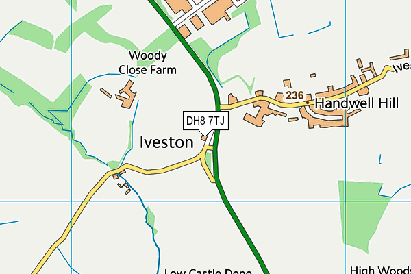 DH8 7TJ map - OS VectorMap District (Ordnance Survey)
