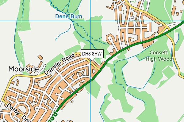 DH8 8HW map - OS VectorMap District (Ordnance Survey) DH8 8HW map - OS VectorMap District (Ordnance Survey)