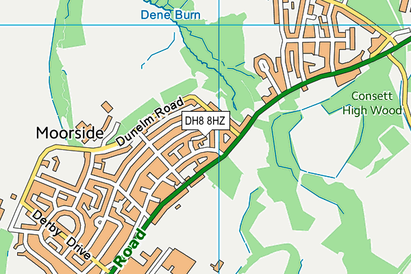 DH8 8HZ map - OS VectorMap District (Ordnance Survey)