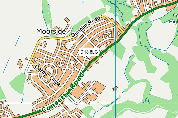 DH8 8LG map - OS VectorMap District (Ordnance Survey) DH8 8LG map - OS VectorMap District (Ordnance Survey)