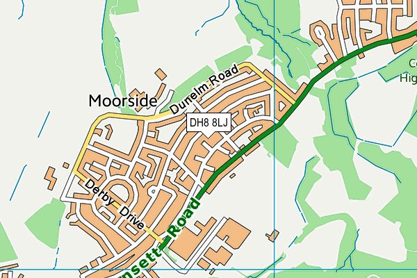 DH8 8LJ map - OS VectorMap District (Ordnance Survey) DH8 8LJ map - OS VectorMap District (Ordnance Survey)