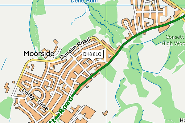 DH8 8LQ map - OS VectorMap District (Ordnance Survey) DH8 8LQ map - OS VectorMap District (Ordnance Survey)