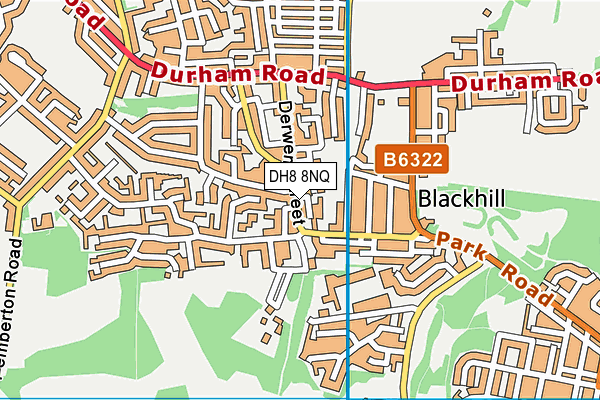 DH8 8NQ map - OS VectorMap District (Ordnance Survey)