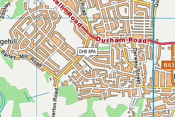 DH8 8PA map - OS VectorMap District (Ordnance Survey) DH8 8PA map - OS VectorMap District (Ordnance Survey)