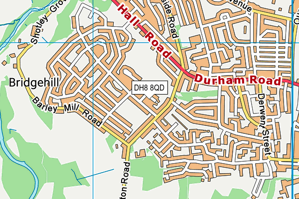 DH8 8QD map - OS VectorMap District (Ordnance Survey)