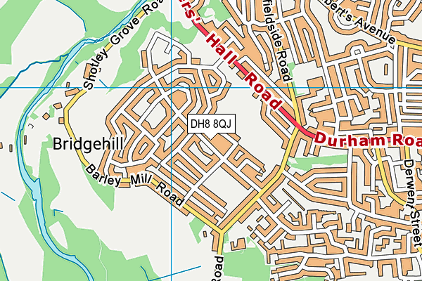 DH8 8QJ map - OS VectorMap District (Ordnance Survey) DH8 8QJ map - OS VectorMap District (Ordnance Survey)