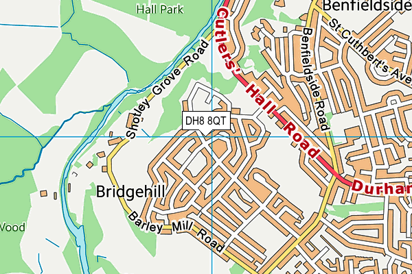DH8 8QT map - OS VectorMap District (Ordnance Survey)
