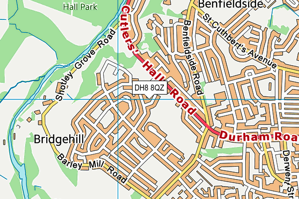 DH8 8QZ map - OS VectorMap District (Ordnance Survey) DH8 8QZ map - OS VectorMap District (Ordnance Survey)