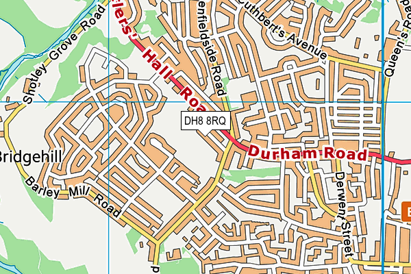 DH8 8RQ map - OS VectorMap District (Ordnance Survey) DH8 8RQ map - OS VectorMap District (Ordnance Survey)