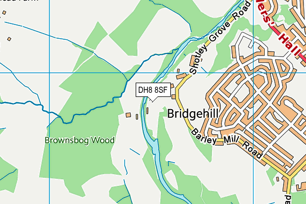 DH8 8SF map - OS VectorMap District (Ordnance Survey)