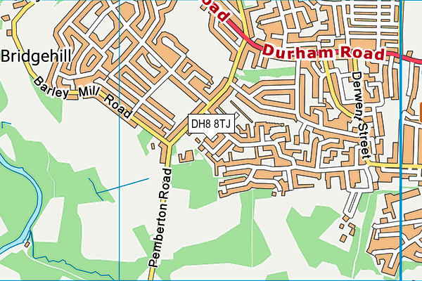 DH8 8TJ map - OS VectorMap District (Ordnance Survey) DH8 8TJ map - OS VectorMap District (Ordnance Survey)