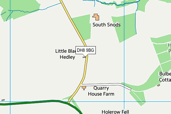 DH8 9BG map - OS VectorMap District (Ordnance Survey) DH8 9BG map - OS VectorMap District (Ordnance Survey)