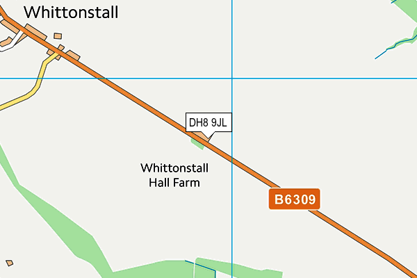DH8 9JL map - OS VectorMap District (Ordnance Survey) DH8 9JL map - OS VectorMap District (Ordnance Survey)