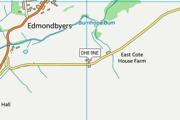 DH8 9NE map - OS VectorMap District (Ordnance Survey)