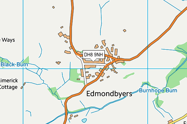 DH8 9NH map - OS VectorMap District (Ordnance Survey) DH8 9NH map - OS VectorMap District (Ordnance Survey)