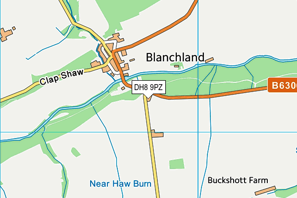 DH8 9PZ map - OS VectorMap District (Ordnance Survey) DH8 9PZ map - OS VectorMap District (Ordnance Survey)