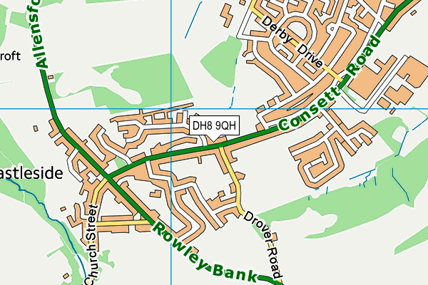 DH8 9QH map - OS VectorMap District (Ordnance Survey) DH8 9QH map - OS VectorMap District (Ordnance Survey)