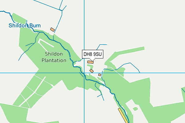 DH8 9SU map - OS VectorMap District (Ordnance Survey) DH8 9SU map - OS VectorMap District (Ordnance Survey)