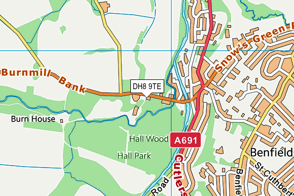 DH8 9TE map - OS VectorMap District (Ordnance Survey) DH8 9TE map - OS VectorMap District (Ordnance Survey)
