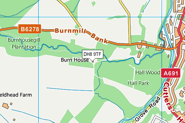 DH8 9TF map - OS VectorMap District (Ordnance Survey)
