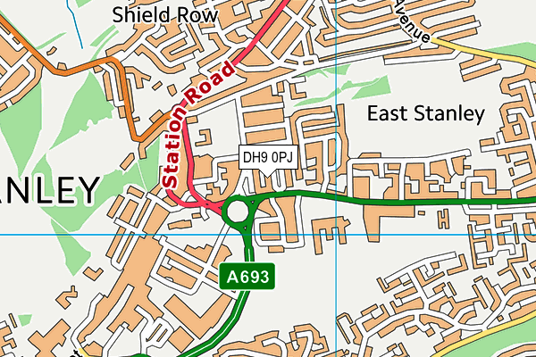 DH9 0PJ map - OS VectorMap District (Ordnance Survey)