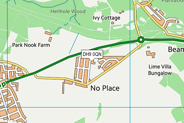 DH9 0QN map - OS VectorMap District (Ordnance Survey) DH9 0QN map - OS VectorMap District (Ordnance Survey)