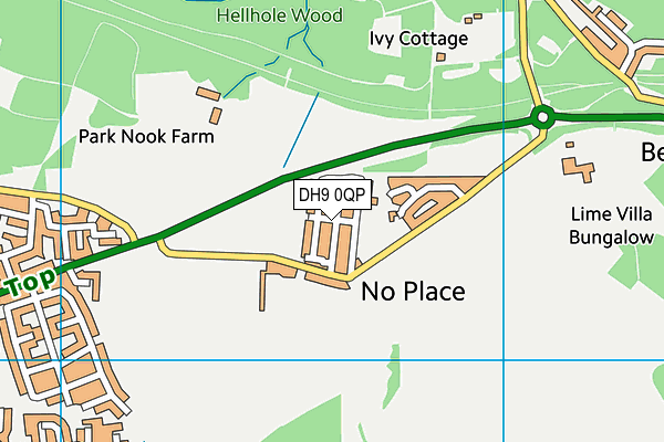 DH9 0QP map - OS VectorMap District (Ordnance Survey)