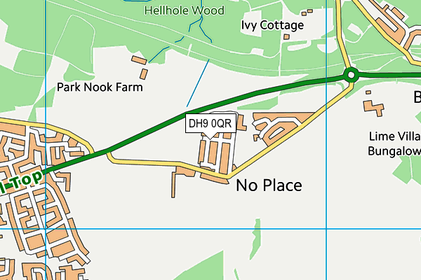 DH9 0QR map - OS VectorMap District (Ordnance Survey) DH9 0QR map - OS VectorMap District (Ordnance Survey)