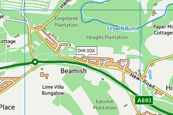 DH9 0QX map - OS VectorMap District (Ordnance Survey) DH9 0QX map - OS VectorMap District (Ordnance Survey)