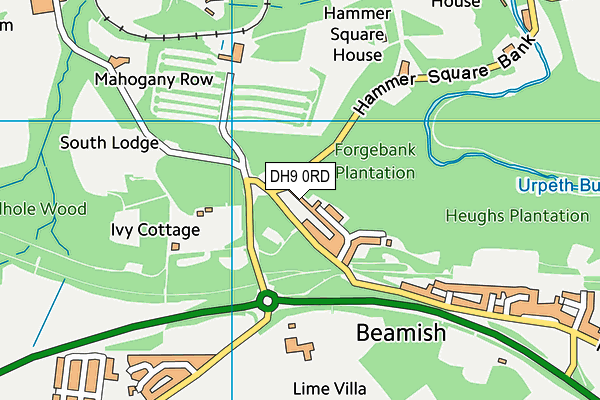 DH9 0RD map - OS VectorMap District (Ordnance Survey) DH9 0RD map - OS VectorMap District (Ordnance Survey)