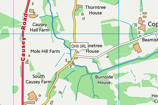 DH9 0RL map - OS VectorMap District (Ordnance Survey) DH9 0RL map - OS VectorMap District (Ordnance Survey)
