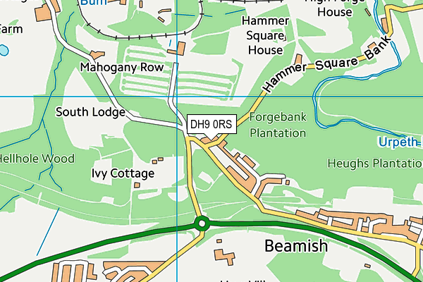 DH9 0RS map - OS VectorMap District (Ordnance Survey) DH9 0RS map - OS VectorMap District (Ordnance Survey)