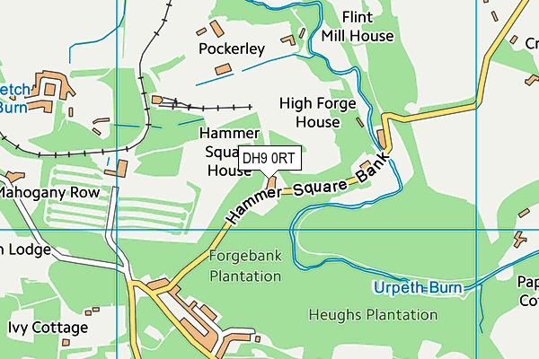 DH9 0RT map - OS VectorMap District (Ordnance Survey) DH9 0RT map - OS VectorMap District (Ordnance Survey)