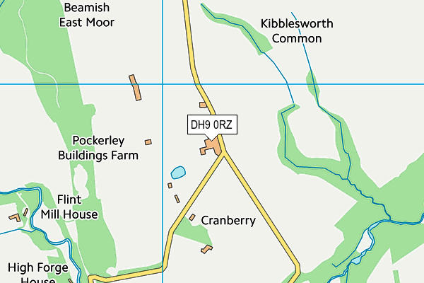 DH9 0RZ map - OS VectorMap District (Ordnance Survey) DH9 0RZ map - OS VectorMap District (Ordnance Survey)
