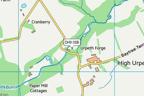 DH9 0SB map - OS VectorMap District (Ordnance Survey) DH9 0SB map - OS VectorMap District (Ordnance Survey)