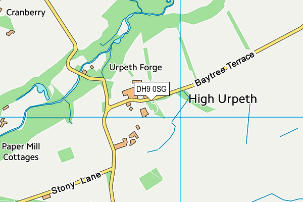 DH9 0SG map - OS VectorMap District (Ordnance Survey) DH9 0SG map - OS VectorMap District (Ordnance Survey)