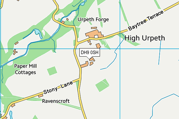 DH9 0SH map - OS VectorMap District (Ordnance Survey) DH9 0SH map - OS VectorMap District (Ordnance Survey)
