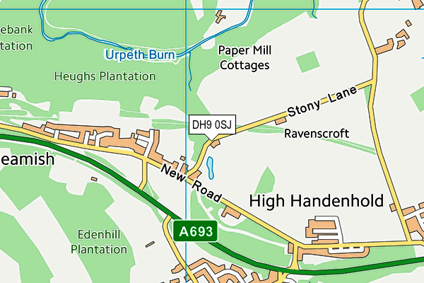 DH9 0SJ map - OS VectorMap District (Ordnance Survey) DH9 0SJ map - OS VectorMap District (Ordnance Survey)