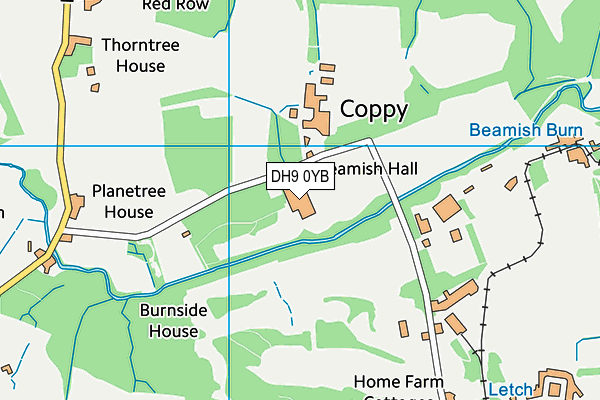 DH9 0YB map - OS VectorMap District (Ordnance Survey)