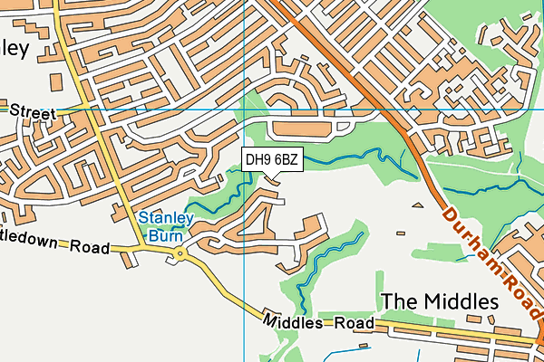 DH9 6BZ map - OS VectorMap District (Ordnance Survey)