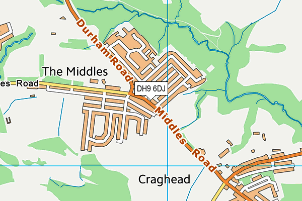 DH9 6DJ map - OS VectorMap District (Ordnance Survey)