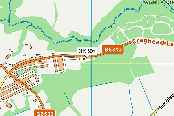 DH9 6DY map - OS VectorMap District (Ordnance Survey)