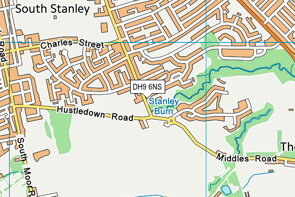 DH9 6NS map - OS VectorMap District (Ordnance Survey)