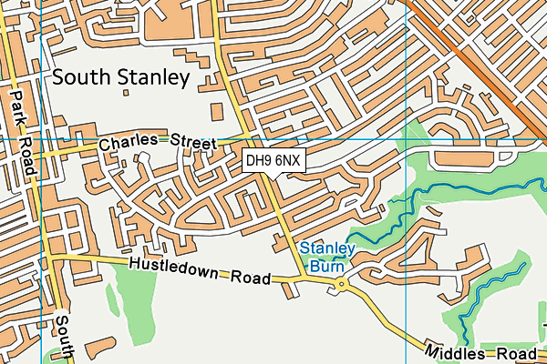 DH9 6NX map - OS VectorMap District (Ordnance Survey)