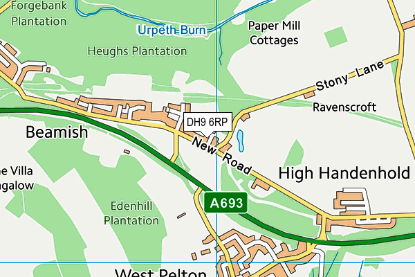 DH9 6RP map - OS VectorMap District (Ordnance Survey)
