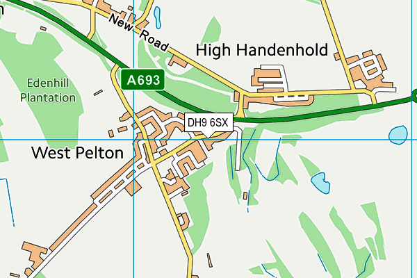 DH9 6SX map - OS VectorMap District (Ordnance Survey)