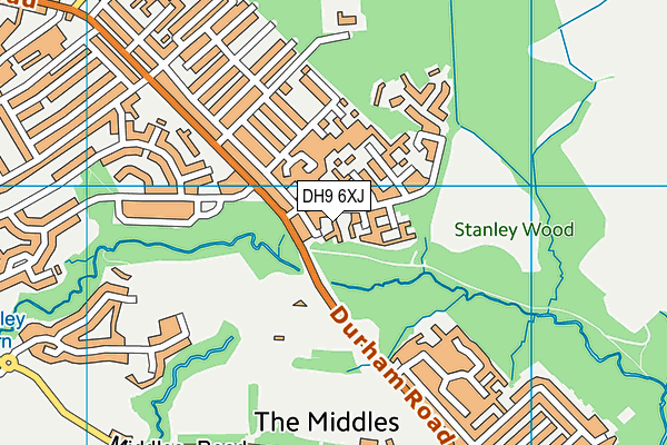 DH9 6XJ map - OS VectorMap District (Ordnance Survey)