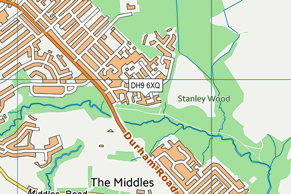 DH9 6XQ map - OS VectorMap District (Ordnance Survey)