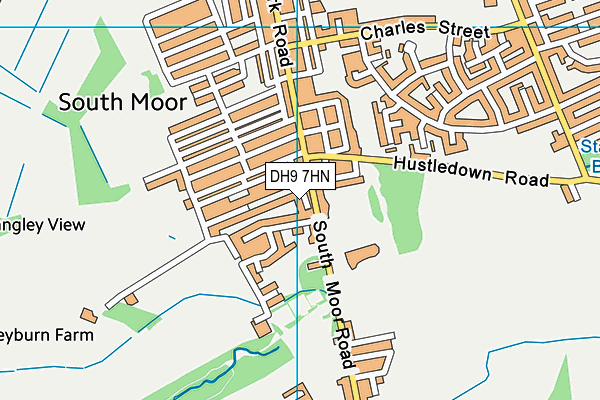 DH9 7HN map - OS VectorMap District (Ordnance Survey) DH9 7HN map - OS VectorMap District (Ordnance Survey)